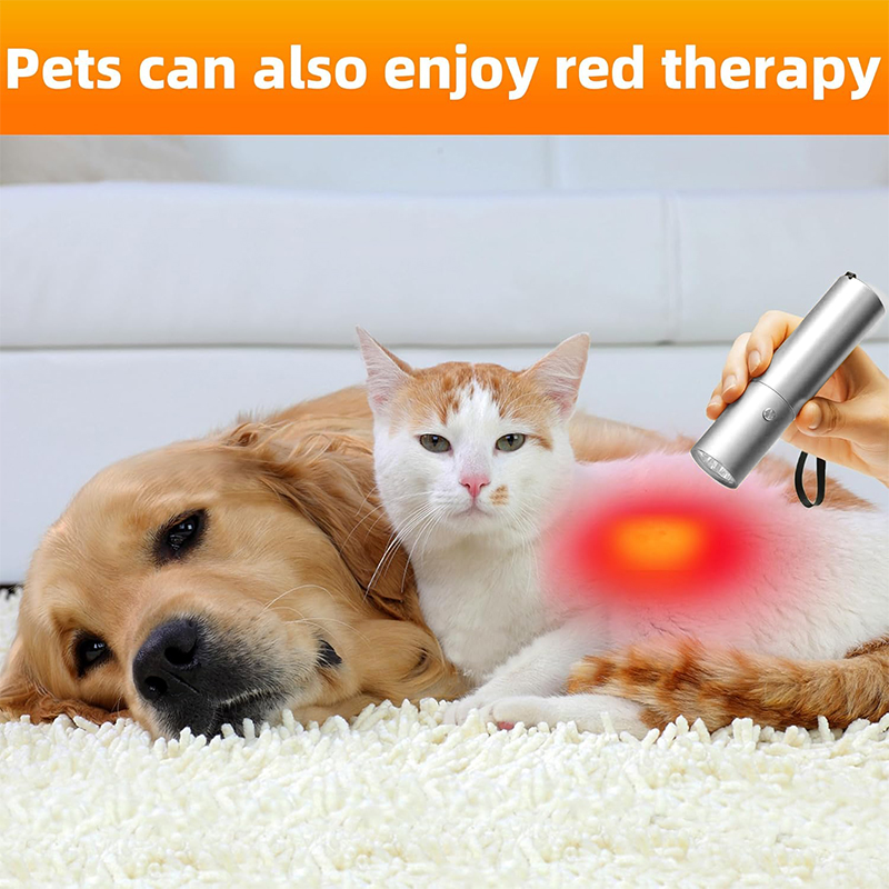 อุปกรณ์บำบัดด้วยแสงสีฟ้าและสีแ - Acne Light Therapy Pen บทวิจารณ์และราคา